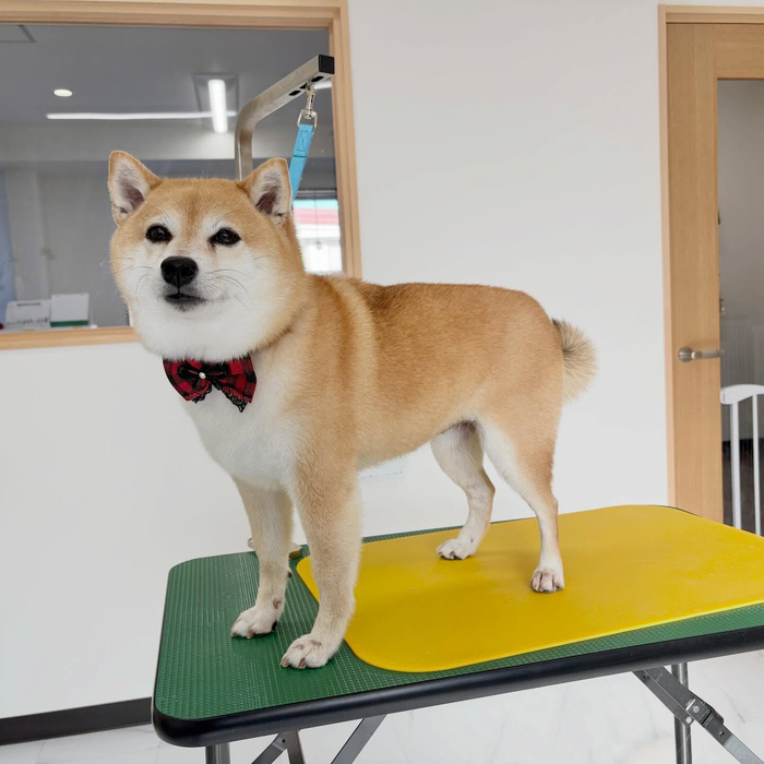画像2491