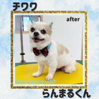 画像2498