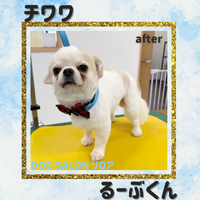 画像2507