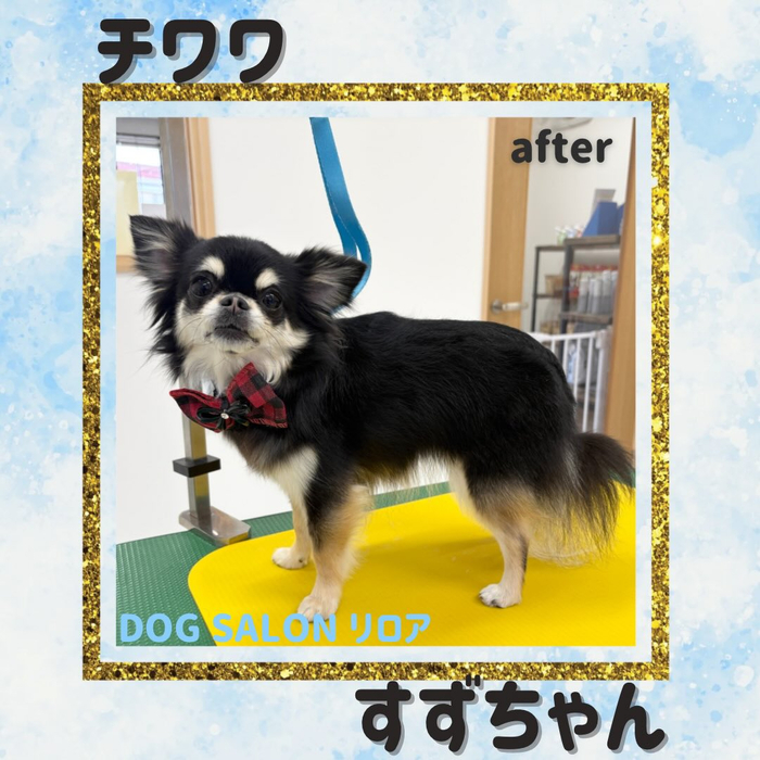 画像2515