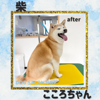 画像2532