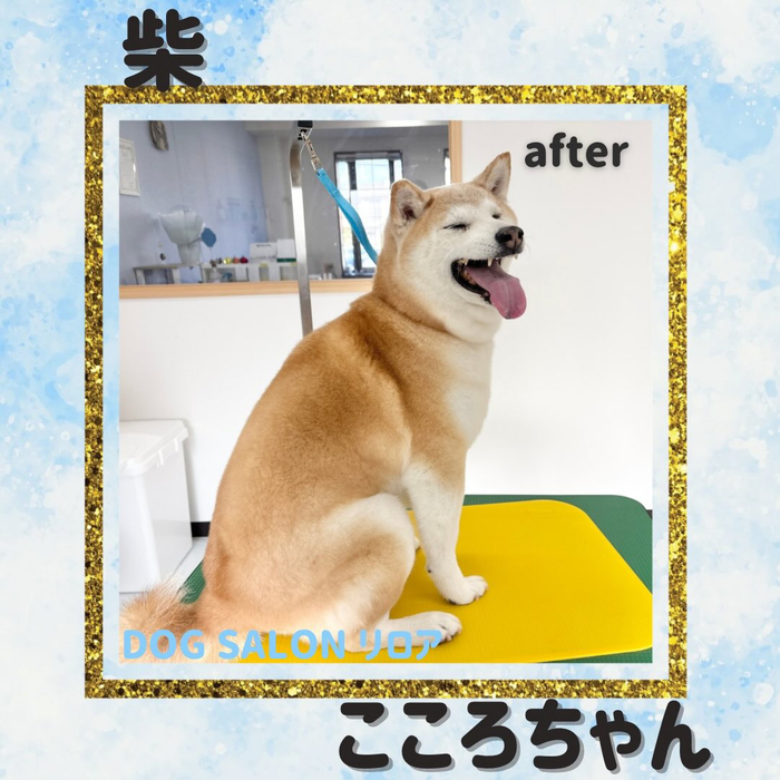 画像2532