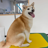 画像2534
