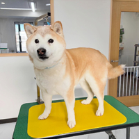 画像2537