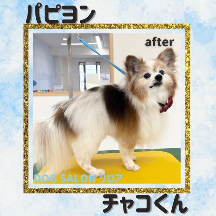 画像2540