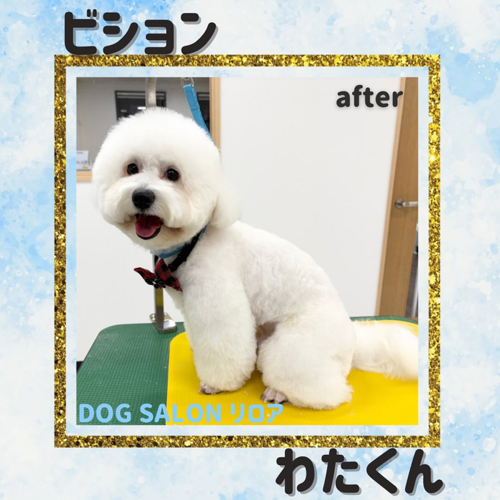 画像2557