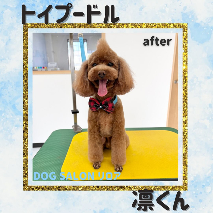 画像2566