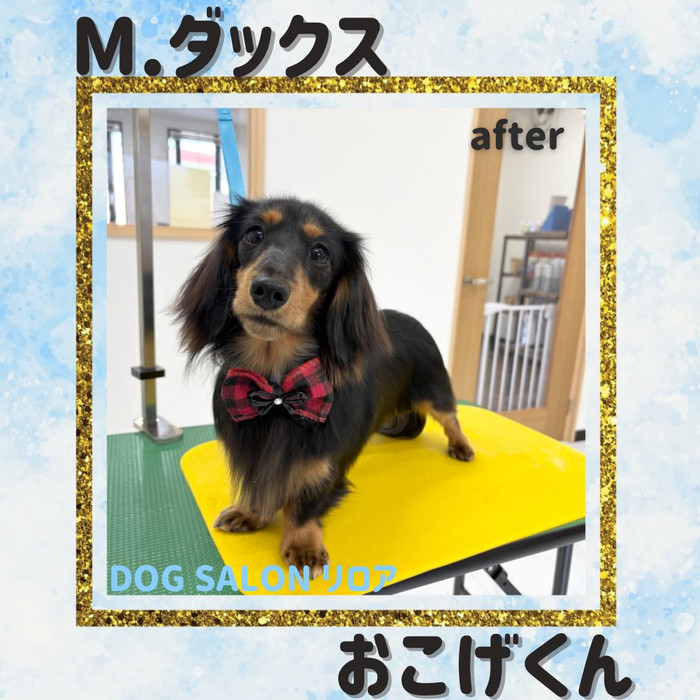 画像2576