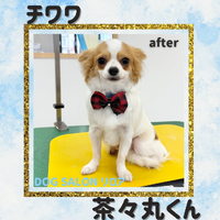 画像2584
