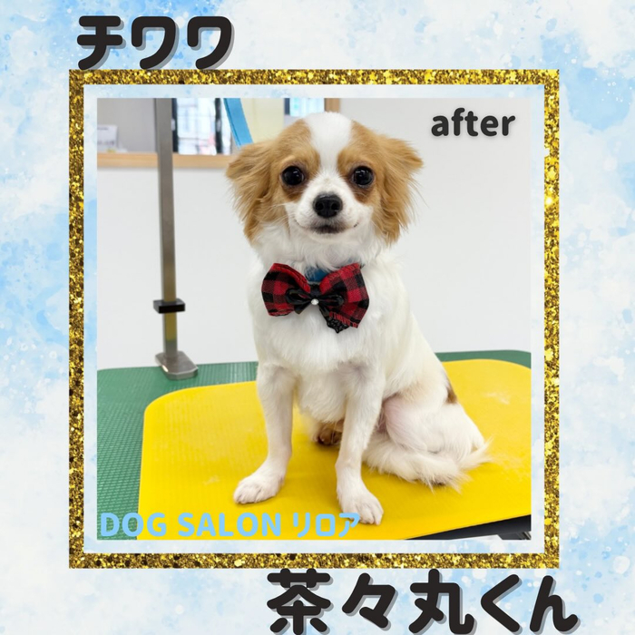 画像2584