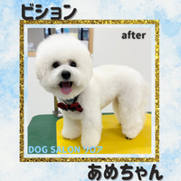 画像2592