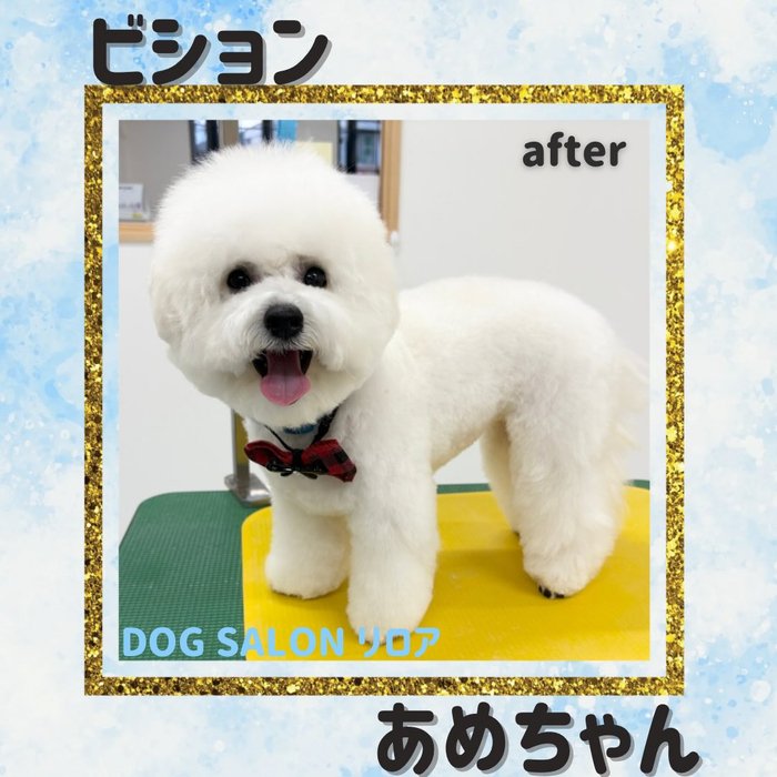 画像2592