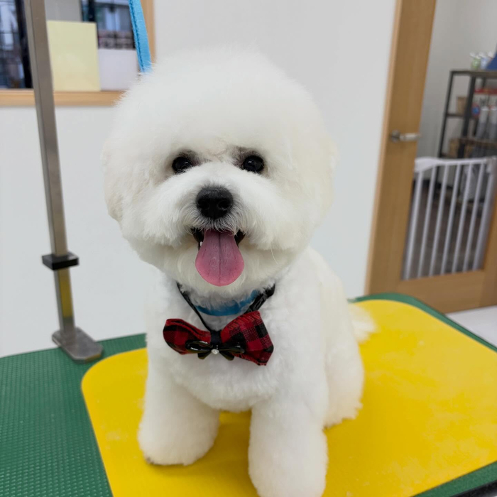 画像2595
