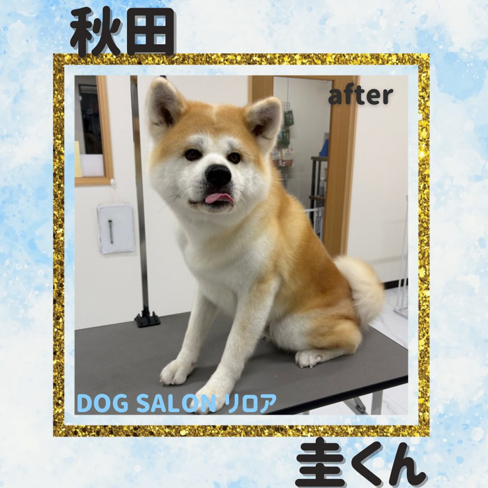 画像2632
