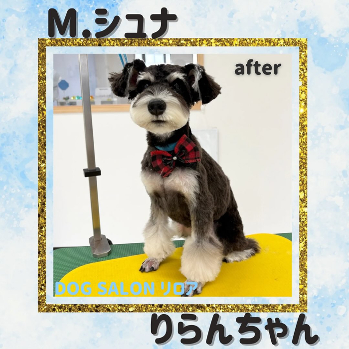 画像2639
