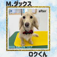 画像2648