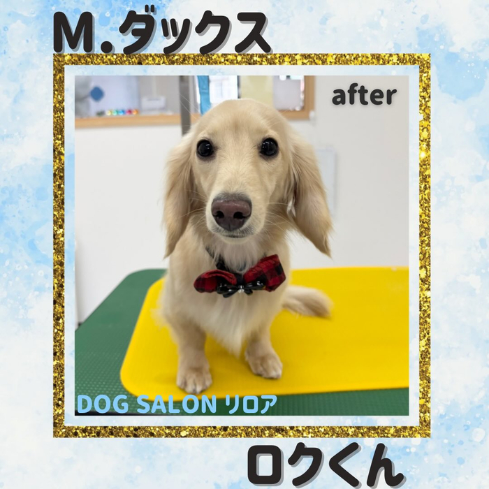 画像2648