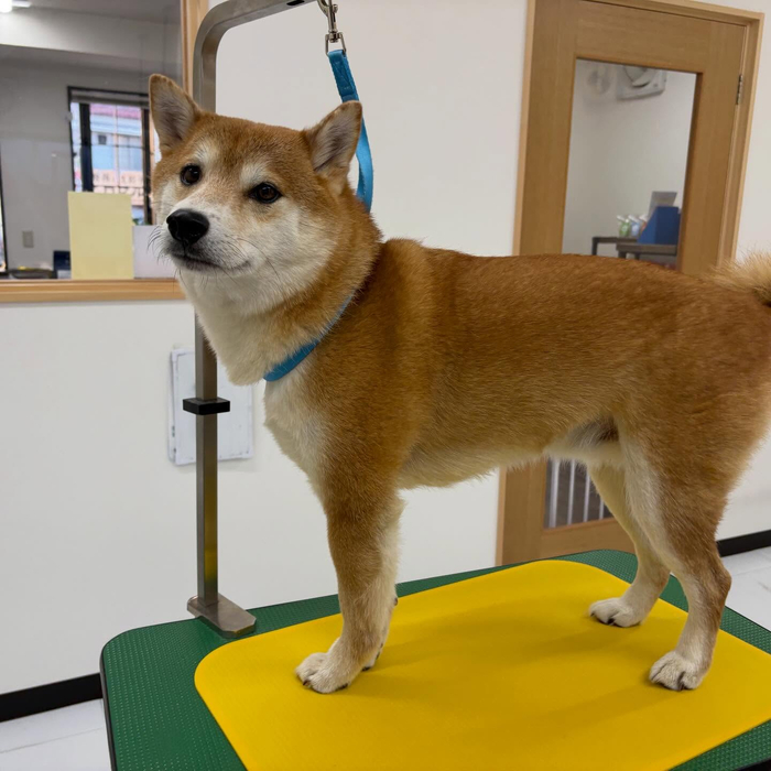 画像2669