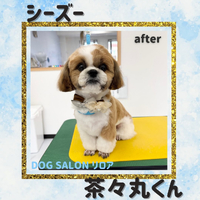 画像2690