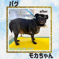 画像2720