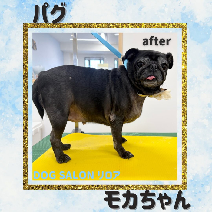 画像2720