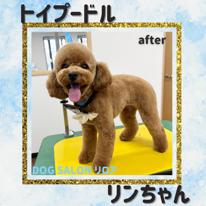 画像2755