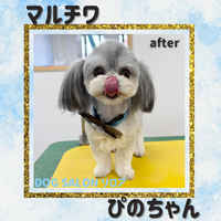 画像2773