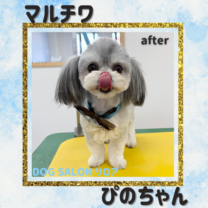 画像2773