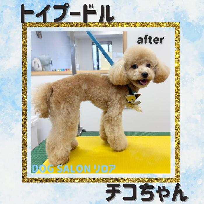 画像2781