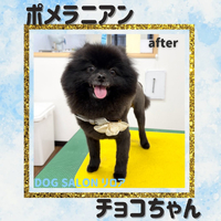 画像2789