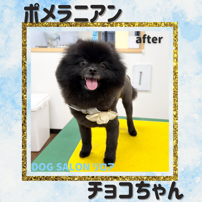 画像2789