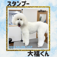 画像2798