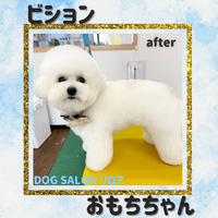 画像2823