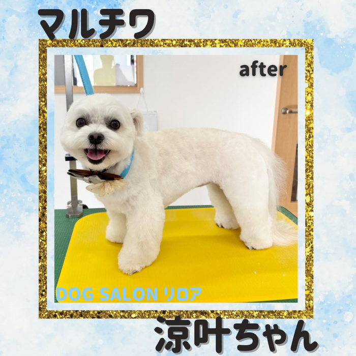 画像2850