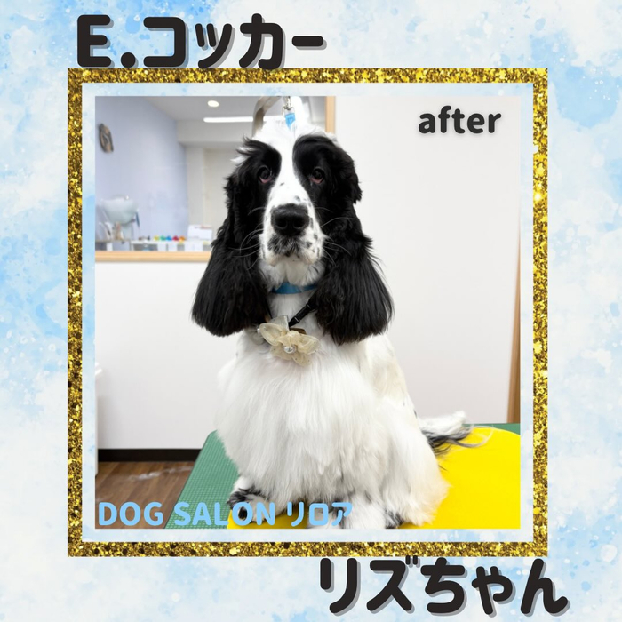 画像2864