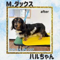 画像2878