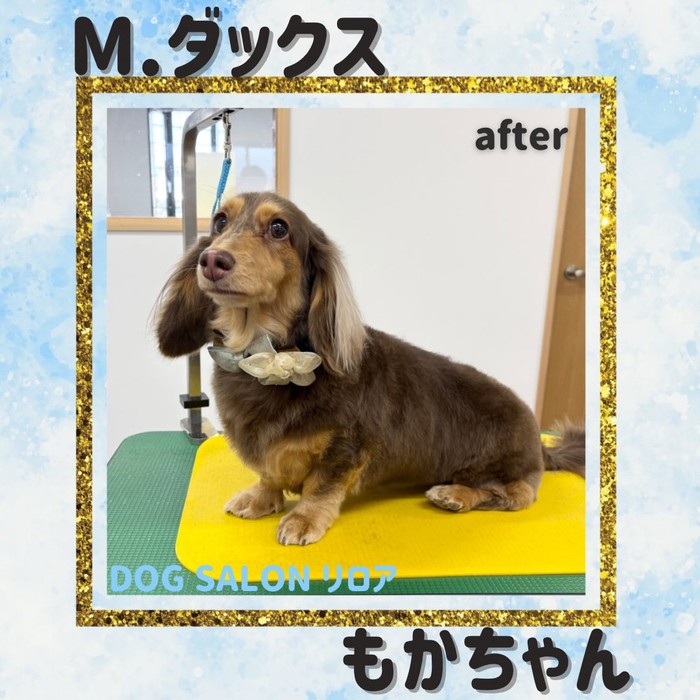 画像2885