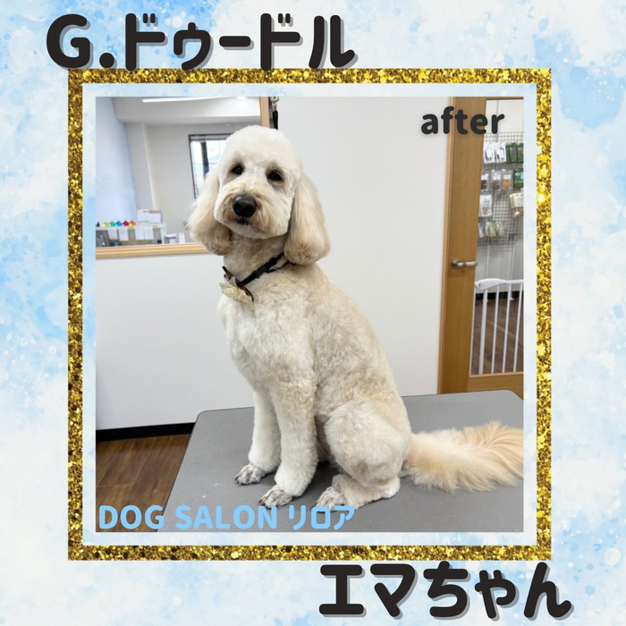 画像2893