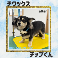 画像2911