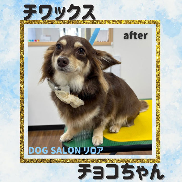 画像2918