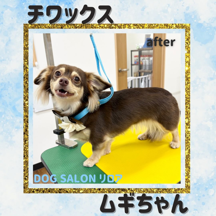 画像2925