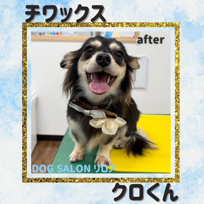 画像2933