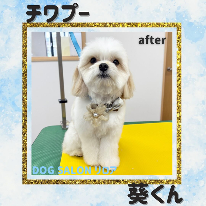 画像2955