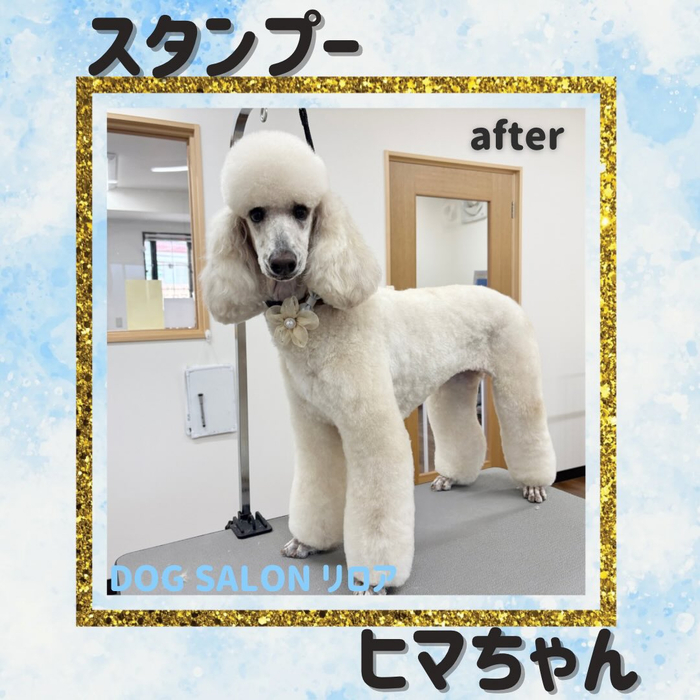 画像2964