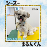 画像2980