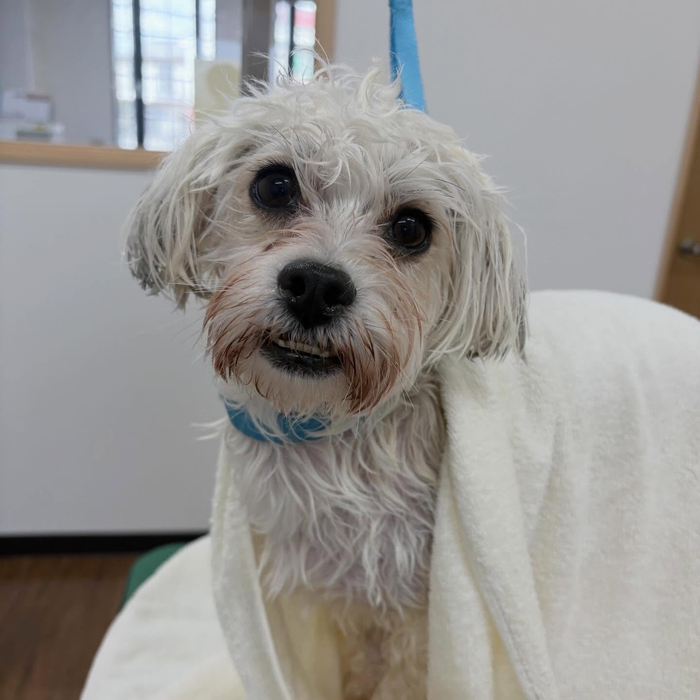 画像3014