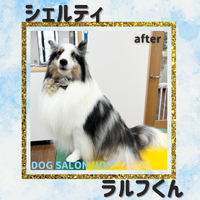 画像3018