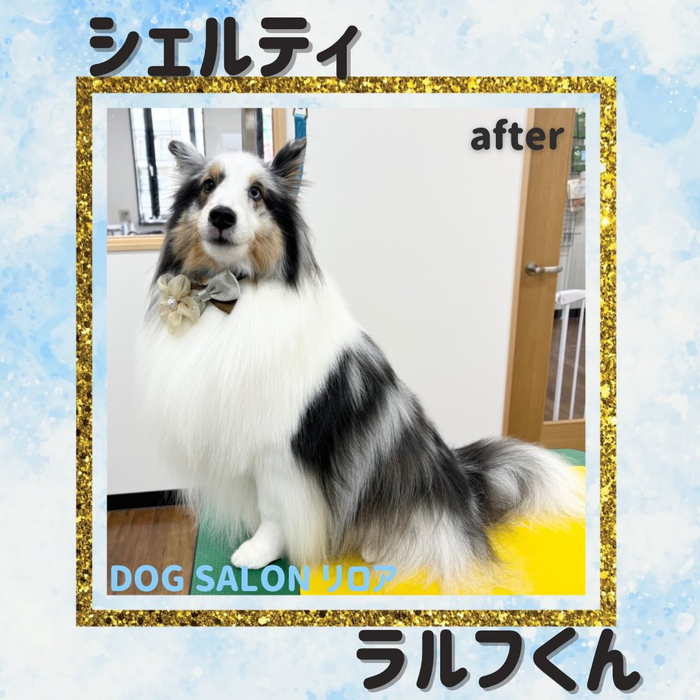 画像3018