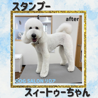 画像3027