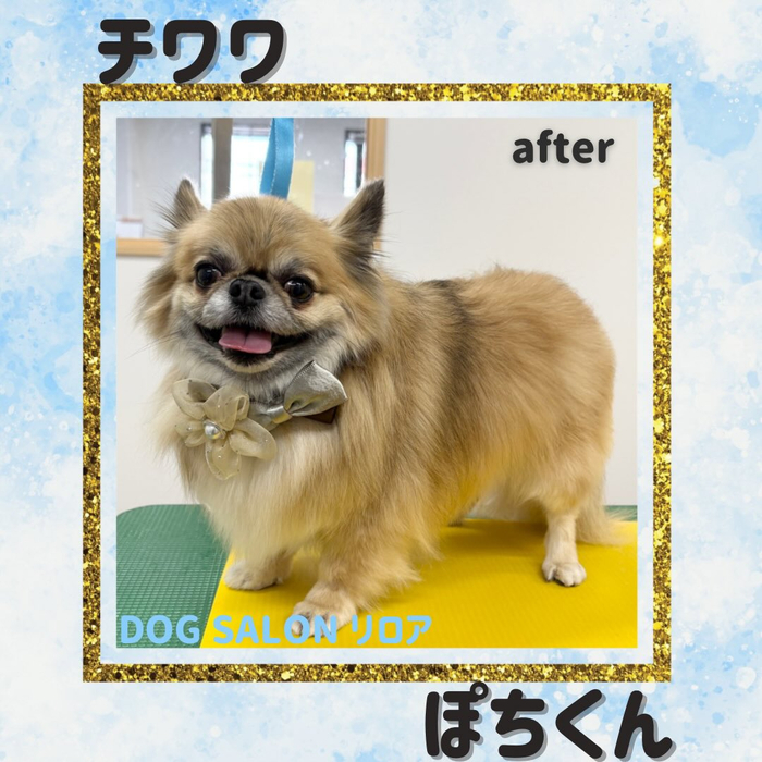 画像3050